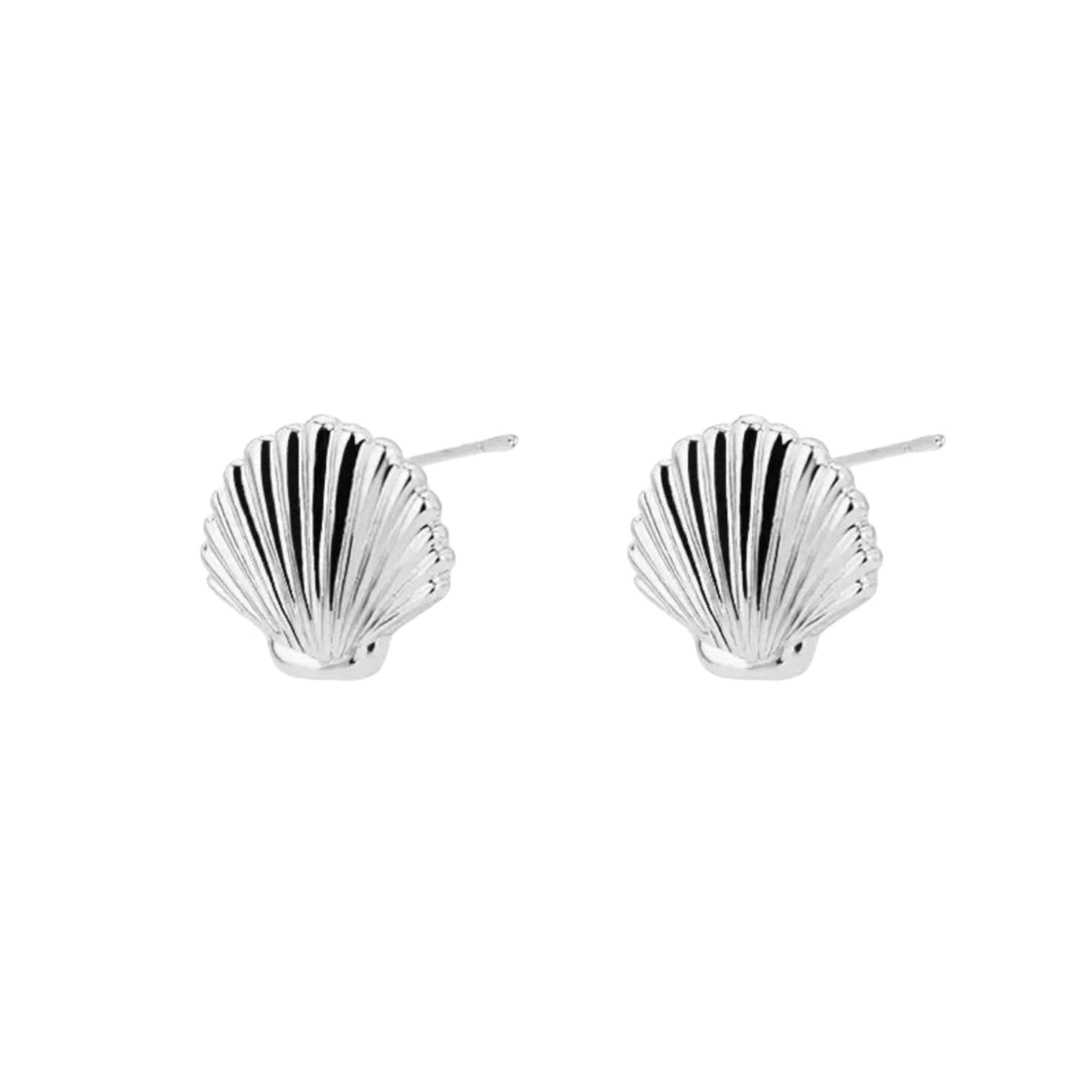 SHELL STUD EARRINGS